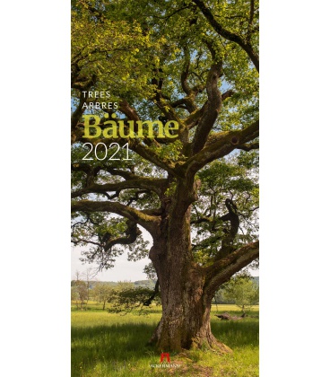 Nástěnný kalendář Stromy / Bäume Kalender 2021