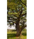 Nástěnný kalendář Stromy / Bäume Kalender 2021