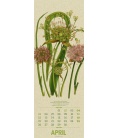 Wall calendar Wildwuchs - Botanische Illustrationen - Graspapier-Kalender 2021