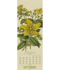 Wall calendar Wildwuchs - Botanische Illustrationen - Graspapier-Kalender 2021