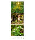 Nástěnný kalendář Život v lese - procházka po lesích / Waldleben - Ein Spaziergang durch h