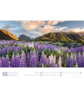 Wandkalender Blumenmeer - Landschaften in voller Blüte, Kalender 2021