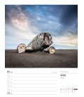 Nástěnný kalendář Island - týdenní plánovač / Island - Wochenplaner Kalender 2021