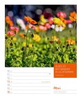 Wall calendar Augenblicke der Achtsamkeit - Wochenplaner Kalender 2021