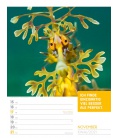 Wall calendar Tierisch Sprüchekalender - Wochenplaner Kalender 2021