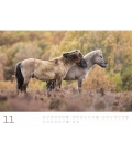 Nástěnný kalendář Divocí koně / Wilde Pferde Kalender 2021