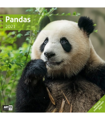 Wall calendar Pandas Kalender 2021