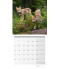 Nástěnný kalendář Vlci / Wölfe Kalender 2021