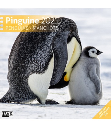 Wandkalender Pinguine Kalender 2021