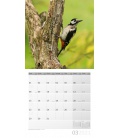Nástěnný kalendář Lesní zvěř / Heimische Wildtiere Kalender 2021