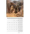 Wall calendar Elefanten Kalender 2021