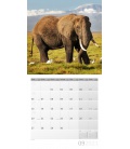 Wall calendar Elefanten Kalender 2021