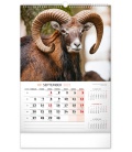 Wall calendar Hunting SK 2021