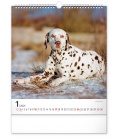 Wall calendar Dogs 2021