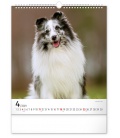 Wall calendar Dogs 2021