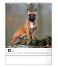 Wall calendar Dogs 2021
