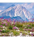 Wall calendar Alps 2021