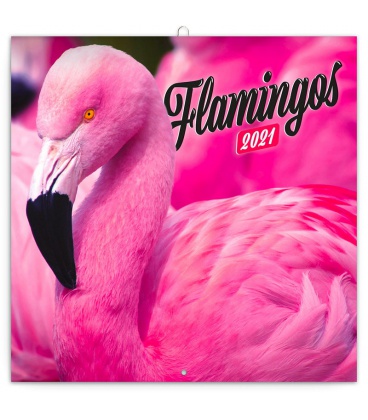 Wall calendar Flamingos 2021