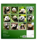 Wall calendar Pandas 2021