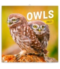 Wandkalender Owls 2021