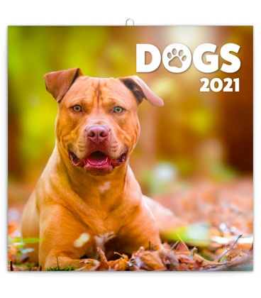 Wall calendar Dogs 2021