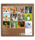 Wall calendar Dogs 2021