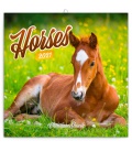 Wandkalender Horses – Christiane Slawik 2021
