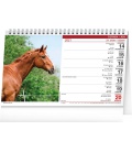 Tischkalender Horses 2021