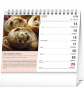 Stolní kalendář Slovenská kuchyňa SK 2021