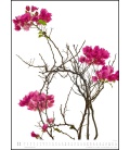 Nástěnný kalendář Flóra / Tan Kadam: Flora (Tan Kadam) 2021