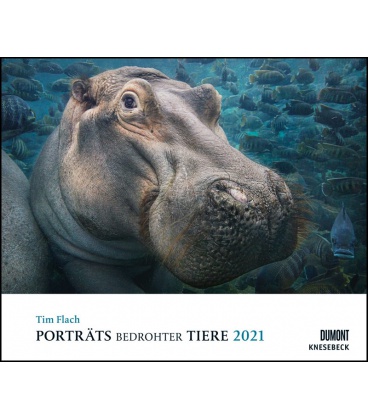 Wandkalender Porträts bedrohter Tiere (Tim Flach) 2021
