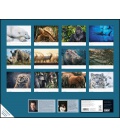 Nástěnný kalendář Portréty ohrožených zvířat / Porträts bedrohter Tiere (Tim Flach) 2021