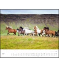 Nástěnný kalendář Ostrov koní - Island / Insel der Pferde: Island und seine Isländer (Chri