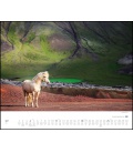 Wandkalender Insel der Pferde: Island und seine Isländer (Christiane Slawik) 2021