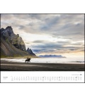 Wandkalender Insel der Pferde: Island und seine Isländer (Christiane Slawik) 2021