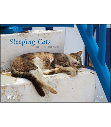 Wall calendar Sleeping Cats  (Bruno Morandi) 2021