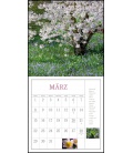 Wall calendar Freude im Garten 2021