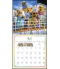 Nástěnný kalendář Medvídek Teddy / Teddybär 2021