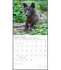Nástěnný kalendář Vlci / WölfeT&C 2021