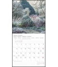Wall calendar Gartenparadiese T&C 2021