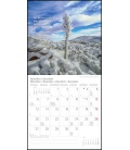 Wall calendar Meditation T&C 2021
