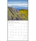Wall calendar Mallorca T&C 2021