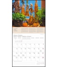 Nástěnný kalendář Bylinky a koření / Kräuter & Gewürze T&C 2021