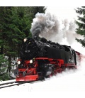 Nástěnný kalendář Lokomotivy / Lokomotiven T&C 2021