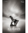 Nástěnný kalendář B & W - Černobílé umění fotografie 2021 / Black & White / Fine Art Photo
