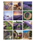 Wall calendar note  Provence 2022