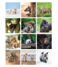 Wandkalender für Notizen Zvířátka 2022