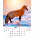 Wall calendar Naše příroda 2022