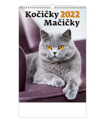 Wandkalender Kočičky/Mačičky 2022