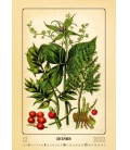 Nástěnný kalendář Herbarium 2022